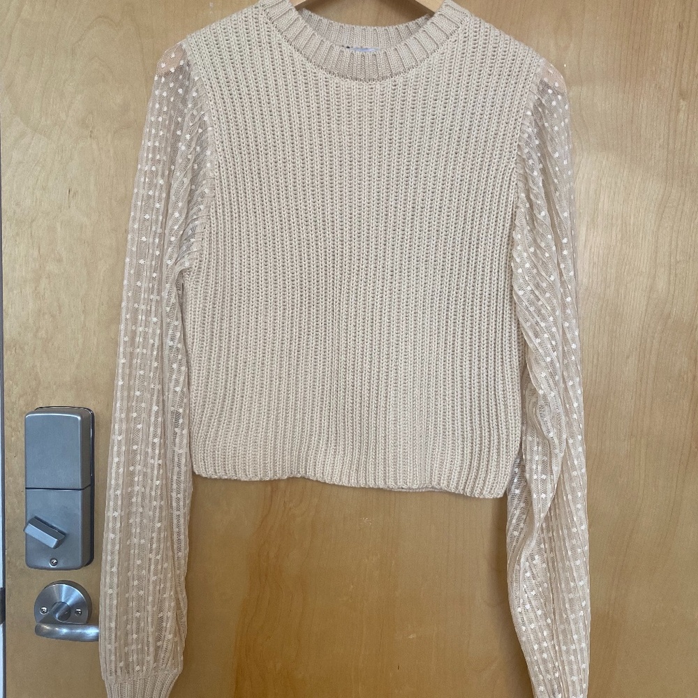 Zara sweater with sheer sleeves